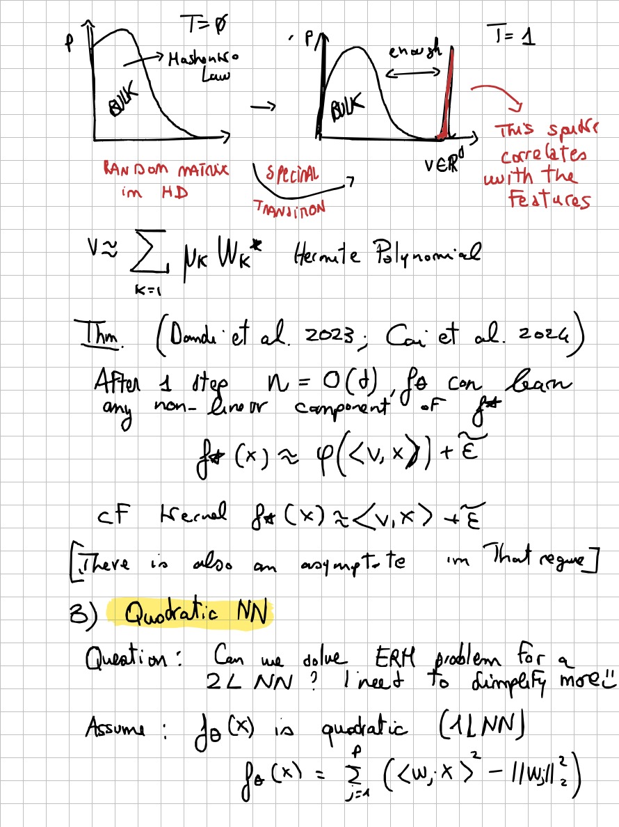 Page 5 of 7 of Lucia Domenichelli's handwritten notes from Bruno Loureiro's lecture.