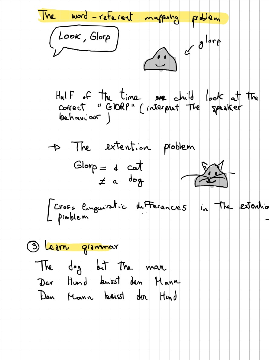 Page 2 of 12 of Lucia Domenichelli's handwritten notes from Caroline Rowland's lectures.