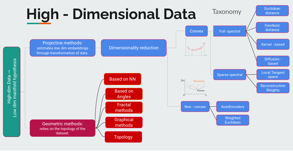taxonomy