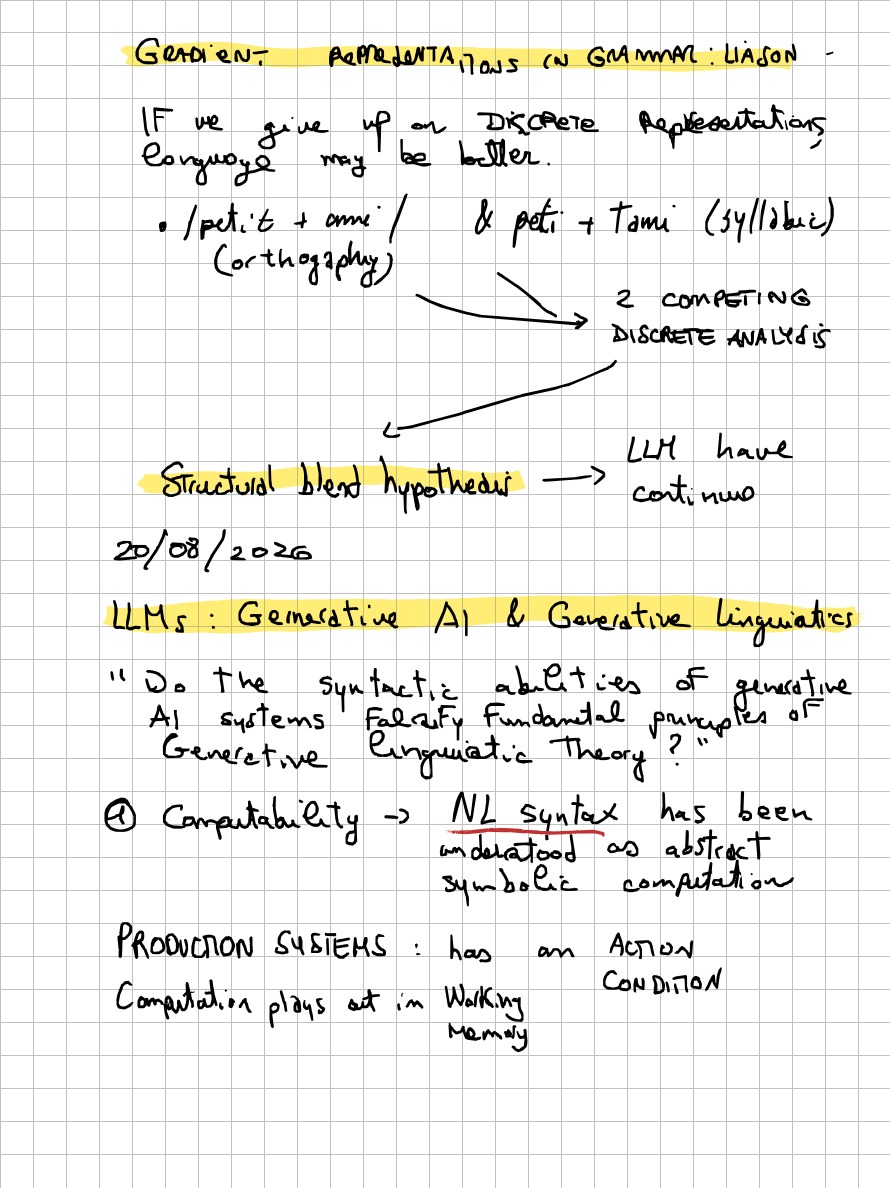Page 17 of 19 of Lucia Domenichelli's handwritten notes from Paul Smolensky's lectures.